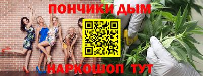 индика Партизанск