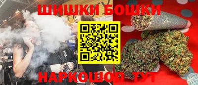индика Партизанск