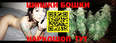 индика Партизанск