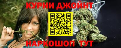 индика Партизанск