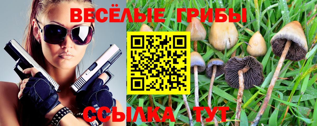 Псилоцибиновые грибы GOLDEN TEACHER  Вход с VPN  Орёл  Псилоцибиновые грибы Cubensis 